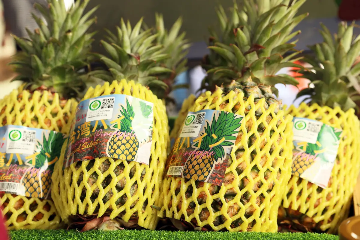 好消息！賴清德喊話奏效　台灣「1水果」將首度外銷到美國