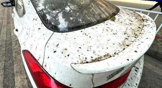 街頭大量出現「詭異小珍珠」專家警告：千萬別踩