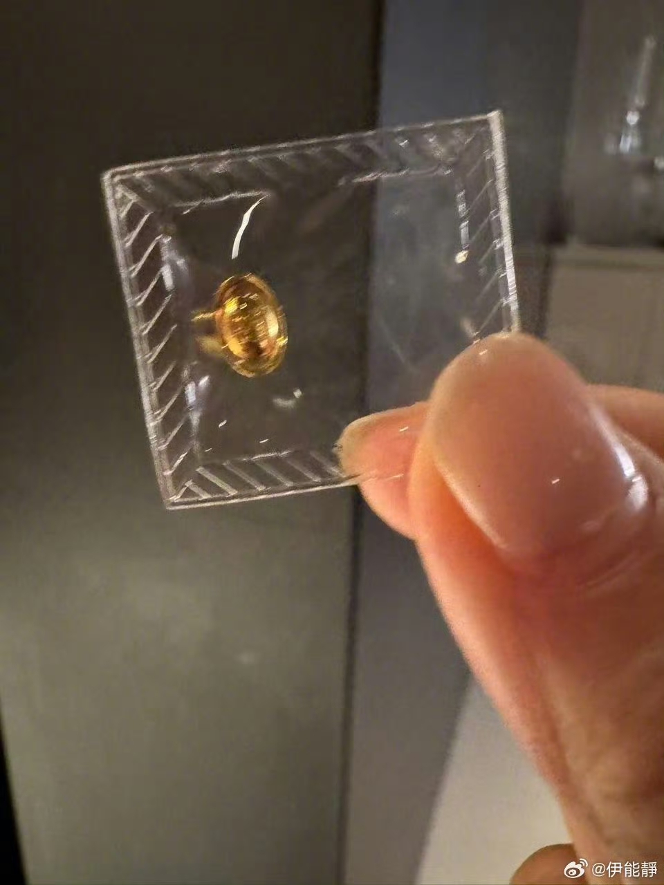 伊能靜「歡慶58歲生日」狀態絕美逆齡！　兒女「斥鉅資送上大禮」她淚喊：來人間一趟，不虧