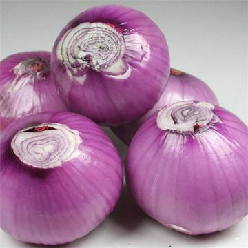 台灣每年9萬人洗腎！譚敦慈揭秘「一神菜超護腎」又能降血糖　醫證實有效「還護心血管」