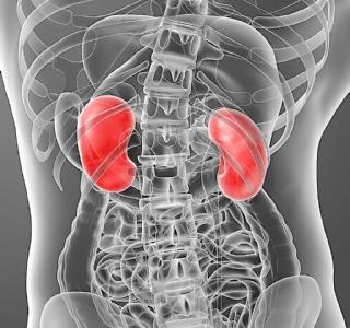 台灣每年9萬人洗腎！譚敦慈揭秘「一神菜超護腎」又能降血糖　醫證實有效「還護心血管」