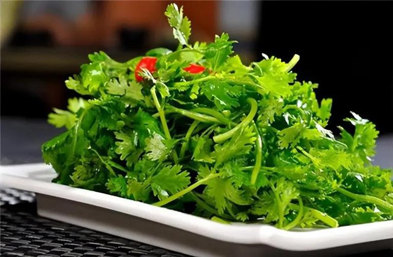 高尿酸的人「堅持吃香菜半年」！竟會出現「這5種變化」不可思議