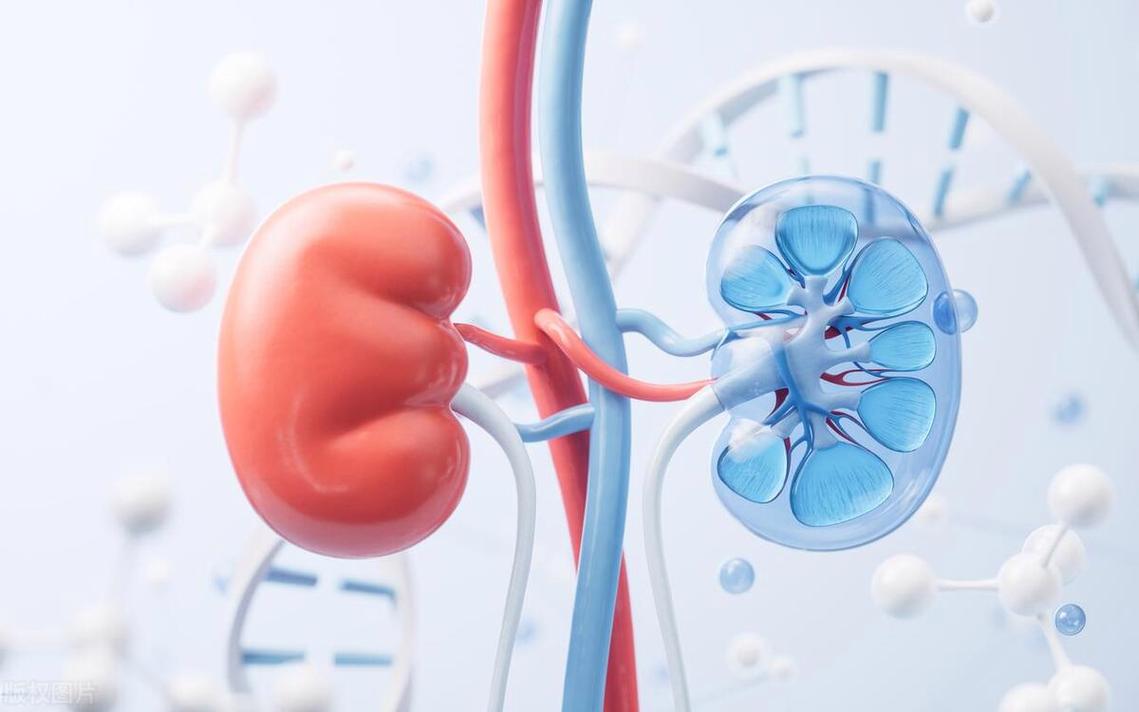 高尿酸的人「堅持吃香菜半年」！竟會出現「這5種變化」不可思議