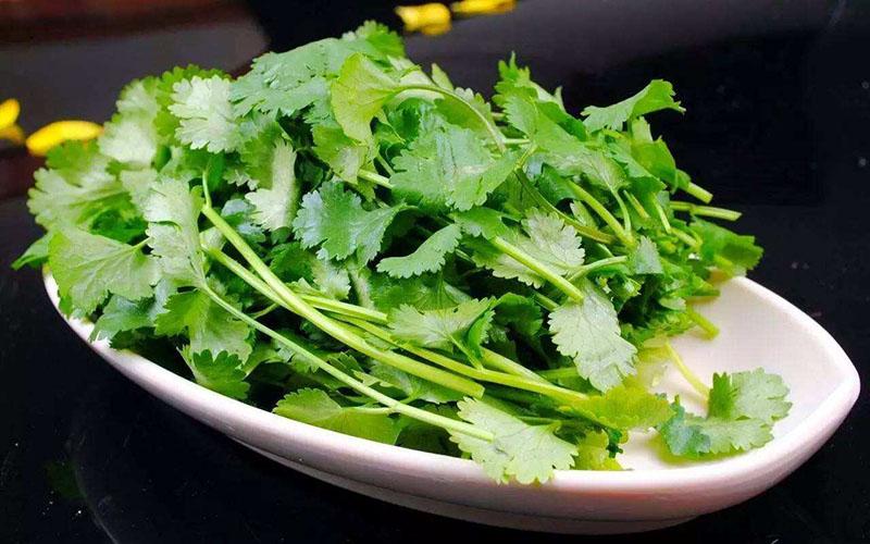 高尿酸的人「堅持吃香菜半年」！竟會出現「這5種變化」不可思議