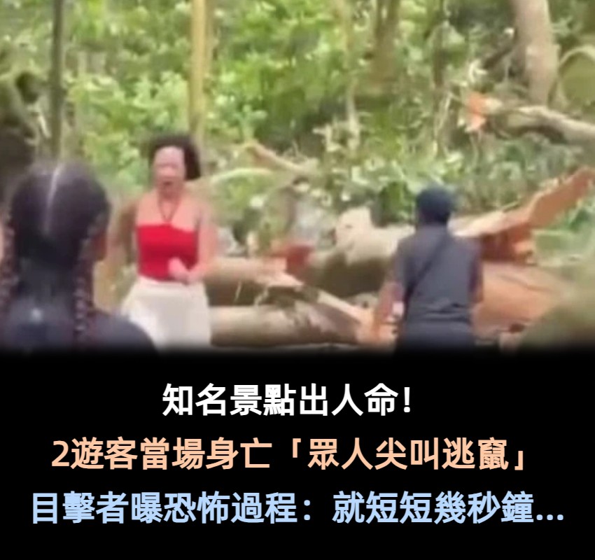 知名景點出人命！2遊客當場身亡「眾人尖叫逃竄」...原因曝光