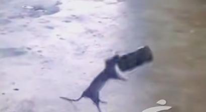 只是罐裝飲料！23歲男子「7天後身亡」醫師警告了