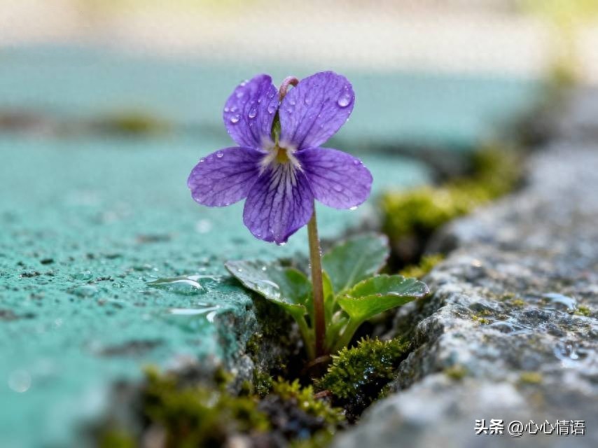 【兩性關係】60多歲的阿姨們坦言：女人找老伴「最大的需求」是這一點