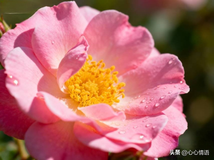 【兩性關係】60多歲的阿姨們坦言：女人找老伴「最大的需求」是這一點