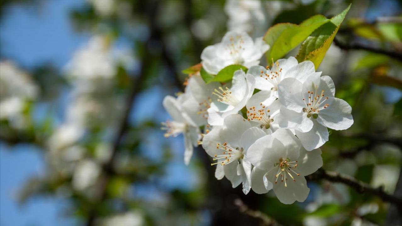 我只生一個兒子！和準親家商量婚事　媳婦一開口就說「她未來不生小孩」親家母一巴掌過去