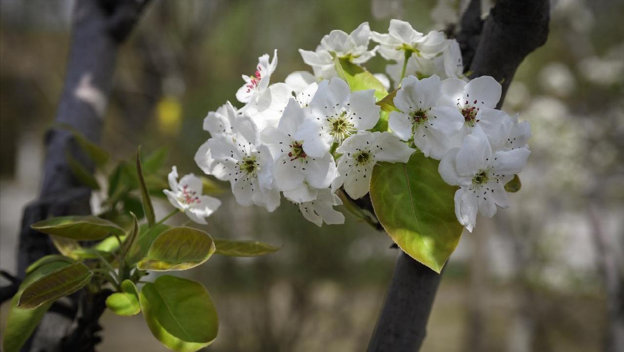 我只生一個兒子！和準親家商量婚事　媳婦一開口就說「她未來不生小孩」親家母一巴掌過去
