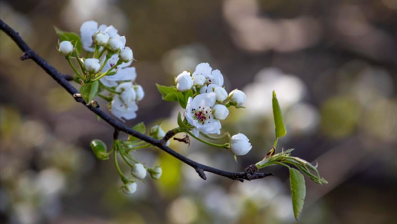 我只生一個兒子！和準親家商量婚事　媳婦一開口就說「她未來不生小孩」親家母一巴掌過去