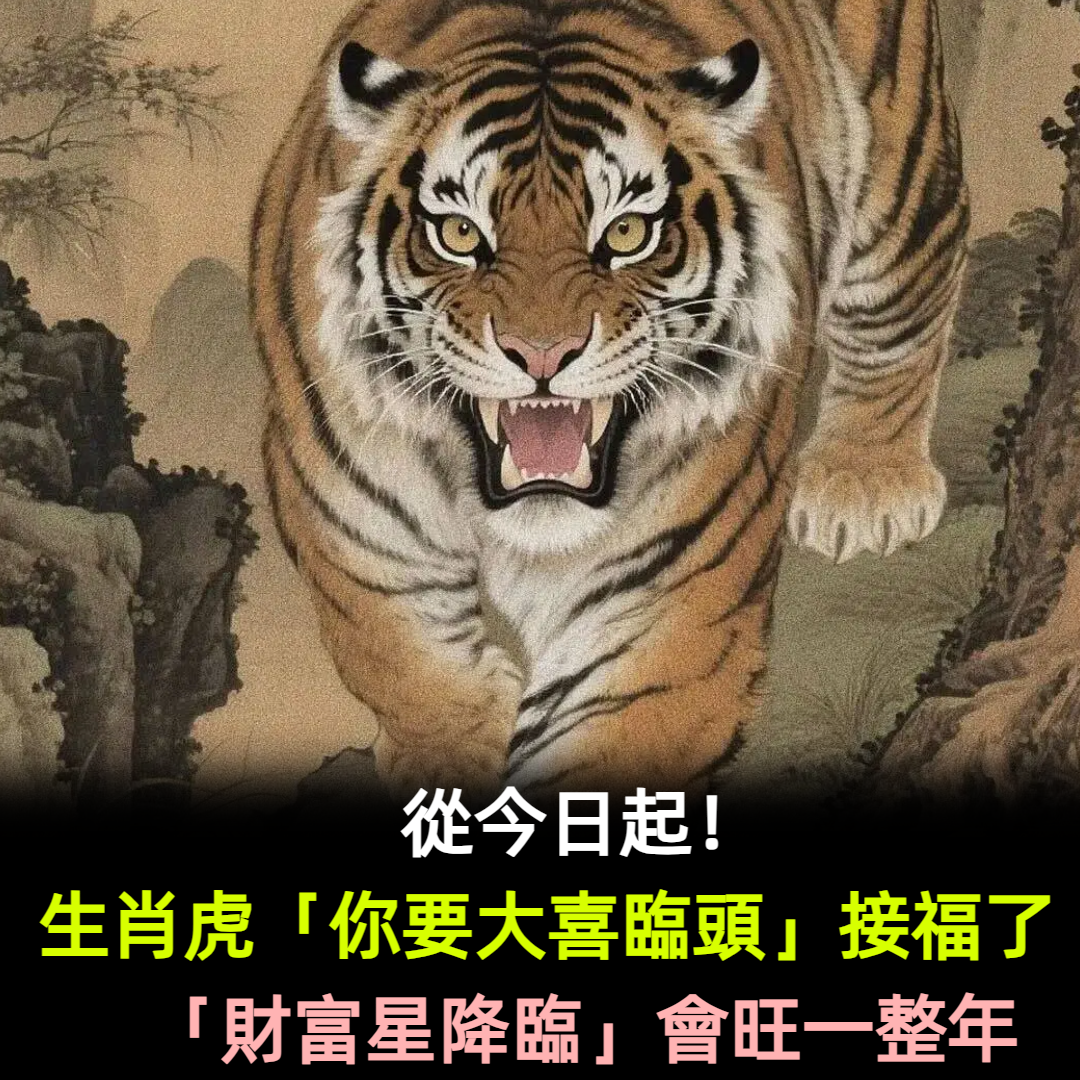 從今日起！生肖虎「你要大喜臨頭」接福了　「財富星降臨」會旺一整年