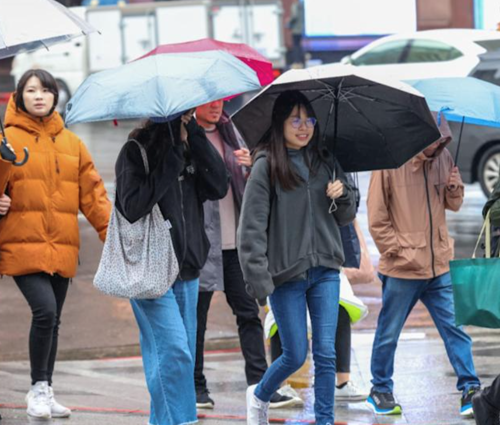 全台又遇「2波春雨來襲」！專家示警「這時間下最大」：不只濕還很冷...