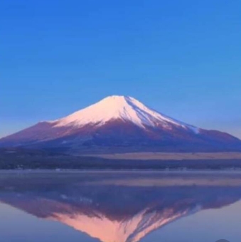 Booking訂房也NG！出國訂房「內行人推這網站」：房源多又便宜