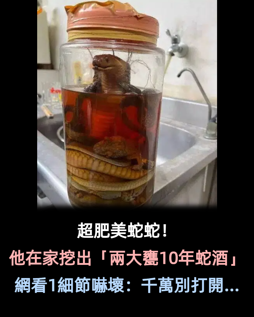 超肥美蛇蛇！他在家裡挖出「兩大甕10年蛇酒」　仔細一看「發現驚悚一幕」網嚇壞：千萬別打開