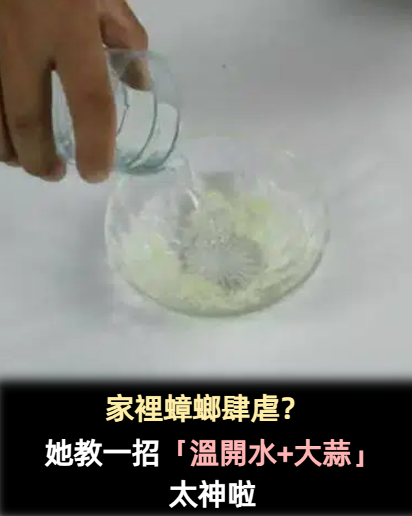 家裡蟑螂太多怎麼辦？試試這個土方法「只需2瓣大蒜」家裡蟑螂一鍋端