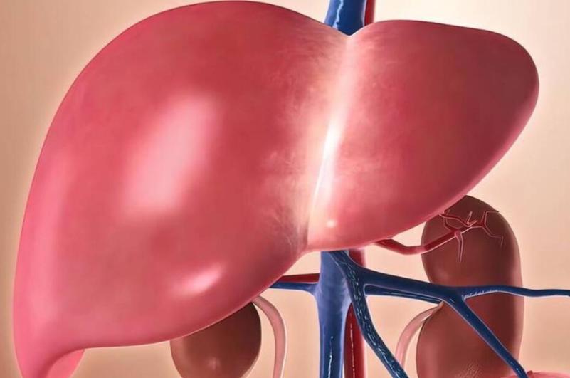 馬上停止吃這種瓜「有毒傷肝腎」！　醫氣喊「一盤上桌全家遭殃」會中毒：一堆家庭講不聽