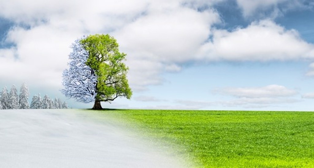 百年難遇快把握！3/20春分「遇龍抬頭」4大吉日匯集　禁穿黑色「必做3事」加倍吸財旺整年