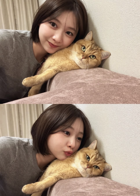 沒錢交房租！知名女星突淚喊：「真的活不下去了...」