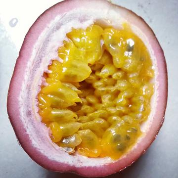 果汁之王是它！研究證實「穩血糖又能抗老」　連皮膚都會變Q嫩「但要選對一部位」