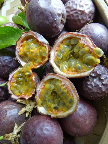 果汁之王是它！研究證實「穩血糖又能抗老」　連皮膚都會變Q嫩「但要選對一部位」