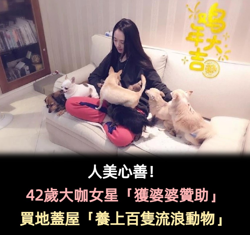 42歲氣質女星「獲婆婆巨額贊助」！買地蓋屋養「上百隻流浪動物」