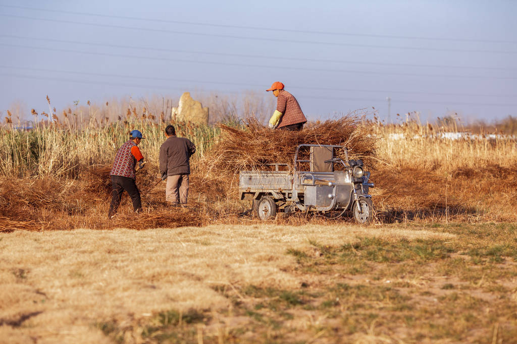 女兒罹患乳腺癌!父親得知後「拿鏟子走到後院」 她跟上一看「當場心死返家」:被當成外人...