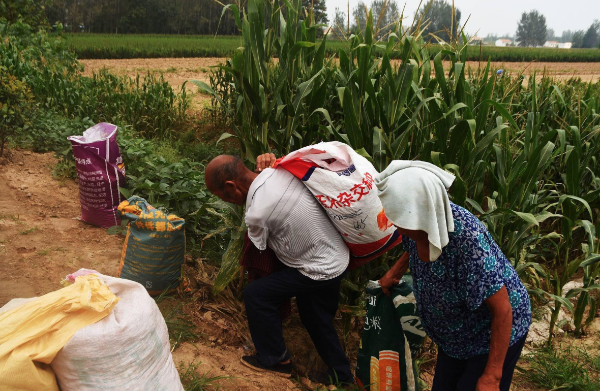 女兒罹患乳腺癌!父親得知後「拿鏟子走到後院」 她跟上一看「當場心死返家」:被當成外人...