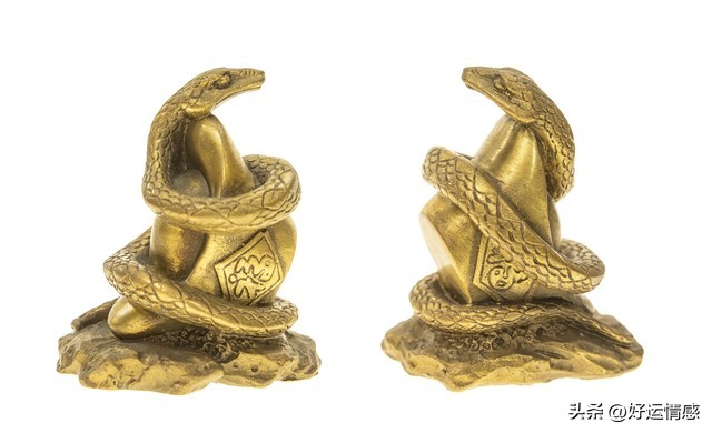 堪稱「鋼鐵玫瑰」生肖女Top4! 堅強沈穩「年紀越大越活越亮眼」活出女王命