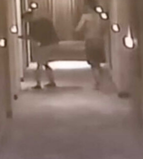 入住高雄飯店!WBC國手深夜「打赤膊走廊狂奔」 房客「痛斥像猴子」點名3人