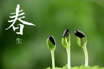 4月一到運勢回升！春風吹來「4生肖走上升運」　擺脫低潮「財運如天氣強勢回暖」