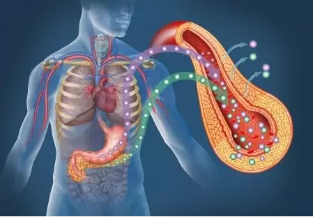 吃水果怕血糖狂飆？最新研究打臉「吃對反而穩血糖」　醫揭「一吃法是地雷」血糖狂飆又沒營養