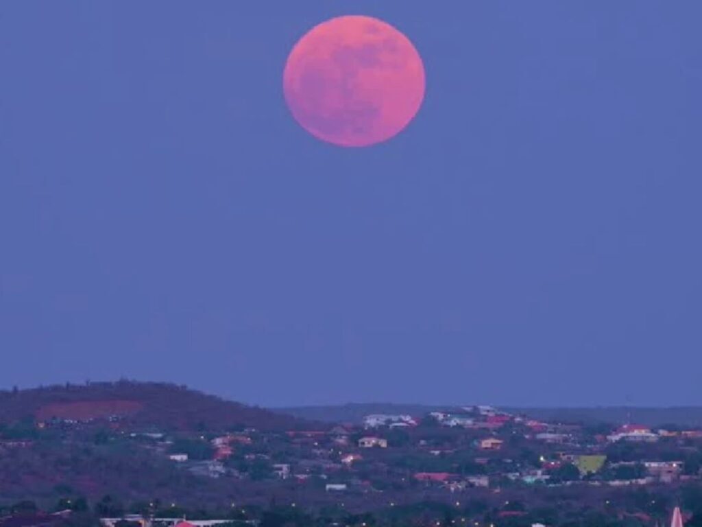 快訊／最浪漫「粉紅月亮」今登場！全台抬頭就能看「最佳觀賞時間曝光」