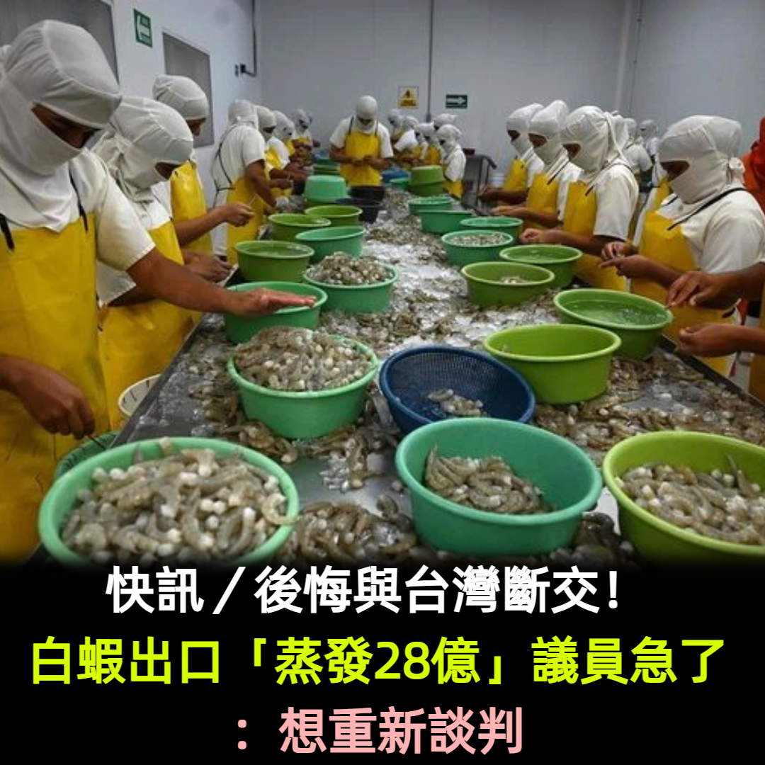 快訊／後悔與台灣斷交！白蝦出口「蒸發28億」議員急了：想重新談判
