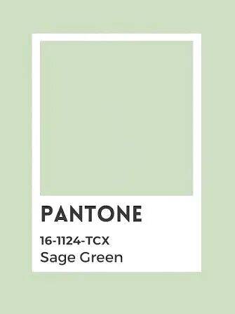 牛仔寬褲失寵了?2026年春夏「最時髦3件褲」 舒適又時尚「穿上瞬間年輕好幾歲」