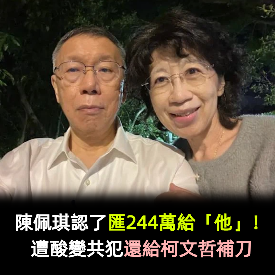陳佩琪認了匯244萬給「他」!遭酸變共犯:還給柯文哲補刀