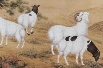 2026年丙午馬年大翻身!「博士星降臨」4生肖 成職場黑馬「升官發財機會暴增」