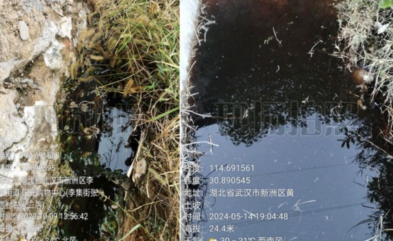 再現癌症村!585人「有62人罹癌」原因曝光