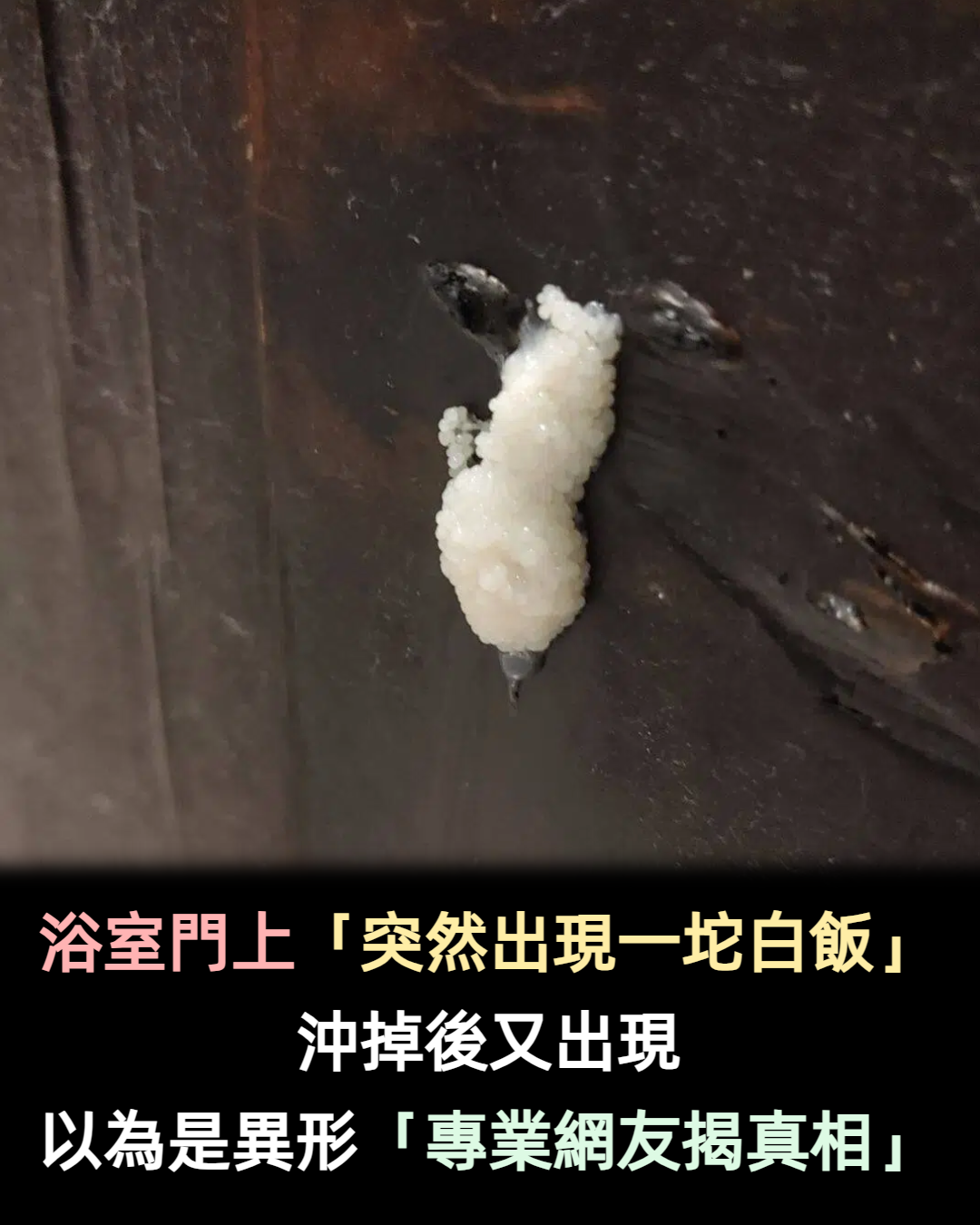被惡作劇?浴室門上「突然出現一坨白飯」 用水沖掉後「又在同一位置出現」清潔公司也沒轍