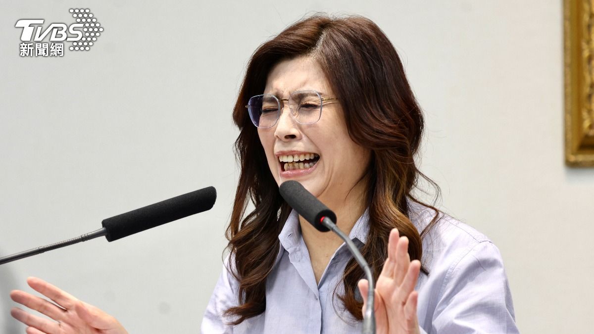 鄭麗文訪美經費申請「國庫埋單」！綠委1原因不反對