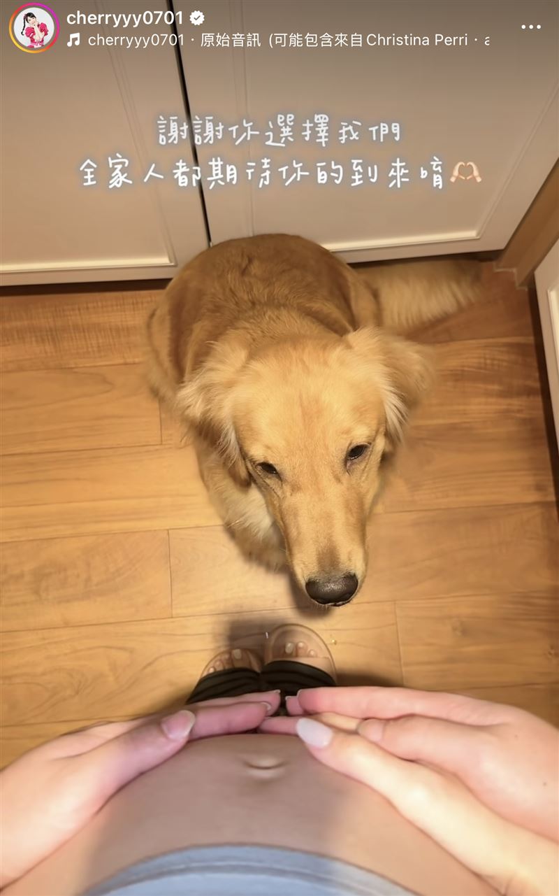 升格人妻1年！本土女星驚喜「宣布懷孕了」　曬超音波照「曝光性別」：謝謝選擇我