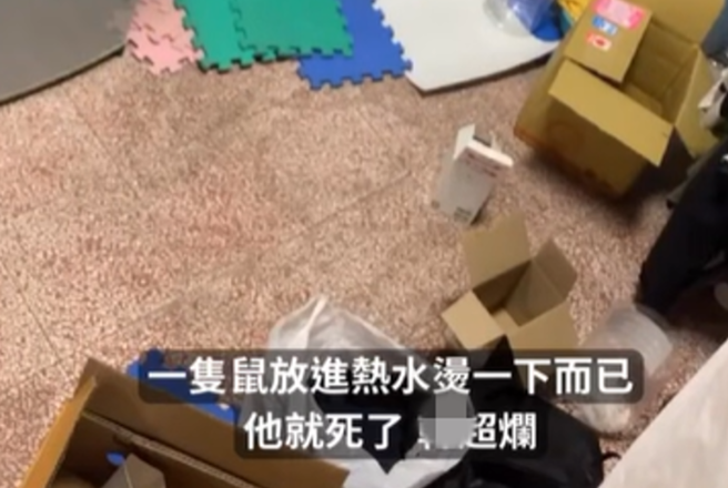 高雄準碩生「殘害40隻倉鼠」!網怒喊「撤銷錄取資格」4國立大學回應了