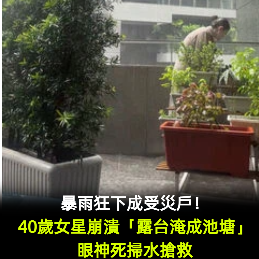 暴雨狂下成受災戶！40歲女星崩潰「露台淹成池塘」掃水搶救：想養小龍蝦