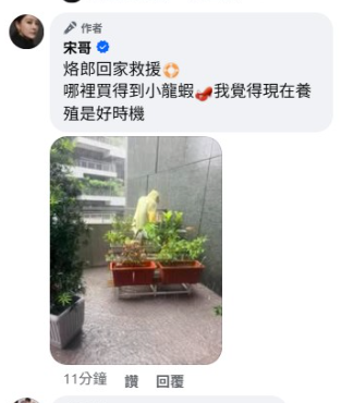 暴雨狂下成受災戶！40歲女星崩潰「露台淹成池塘」掃水搶救：想養小龍蝦