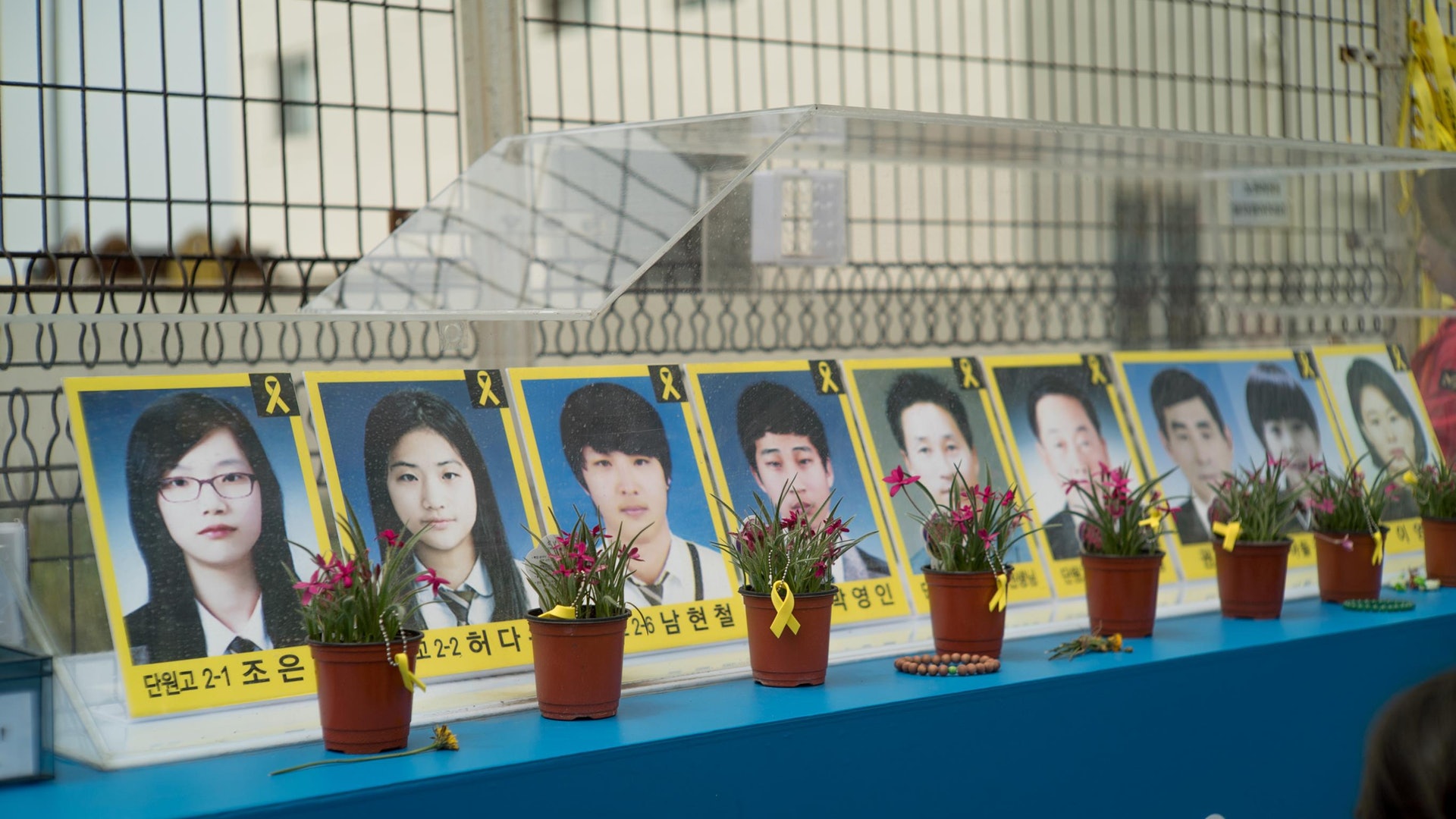 目睹親友罹難！倖存者「12年後輕生亡」總統悲痛發聲