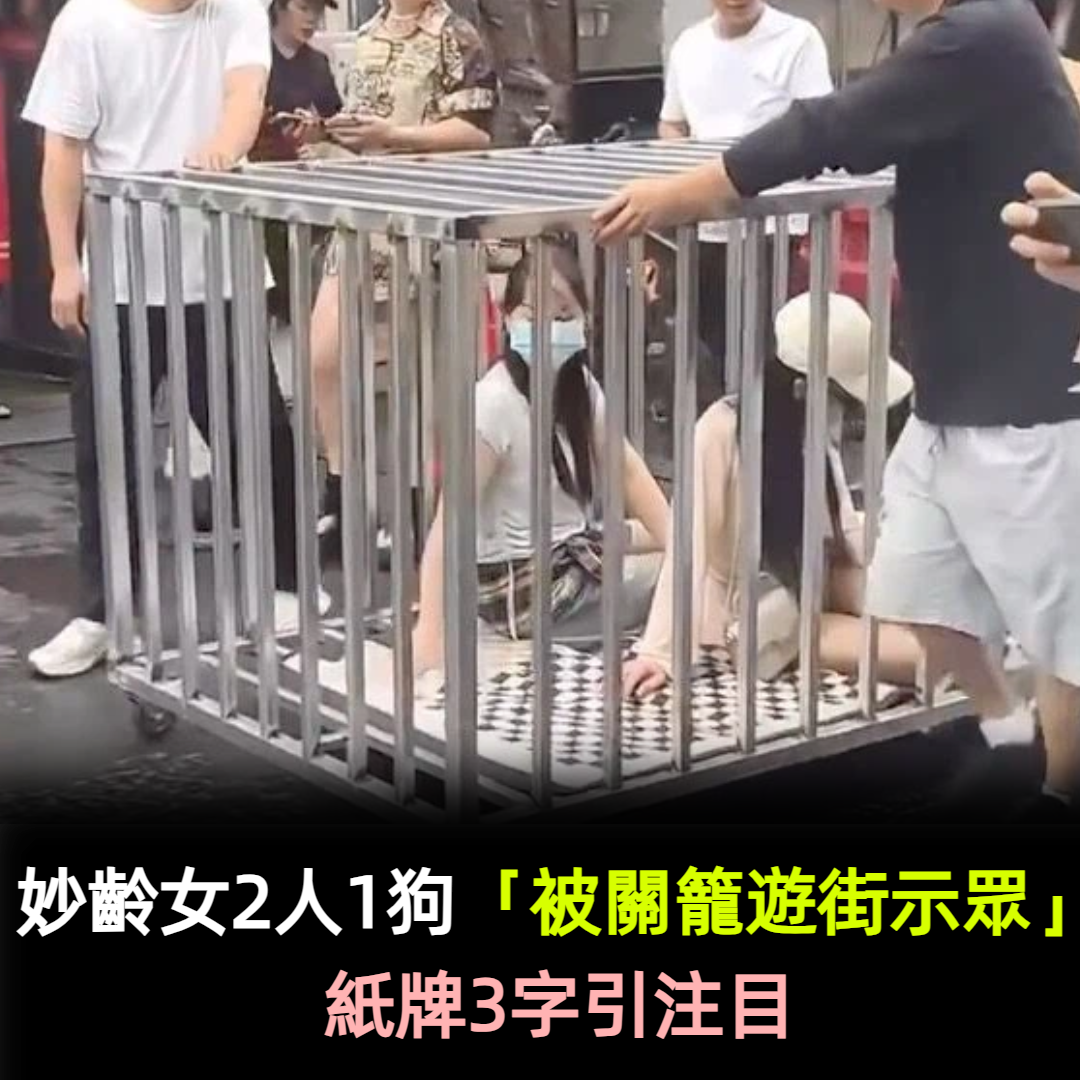 妙齡女2人1狗「被關籠遊街示眾」！紙牌3字引注目