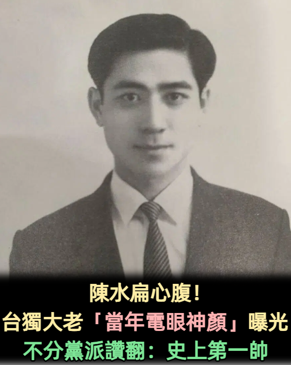 日本免簽都靠他！陳水扁心腹「當年電眼神顏」不分黨派讚翻：史上第一帥