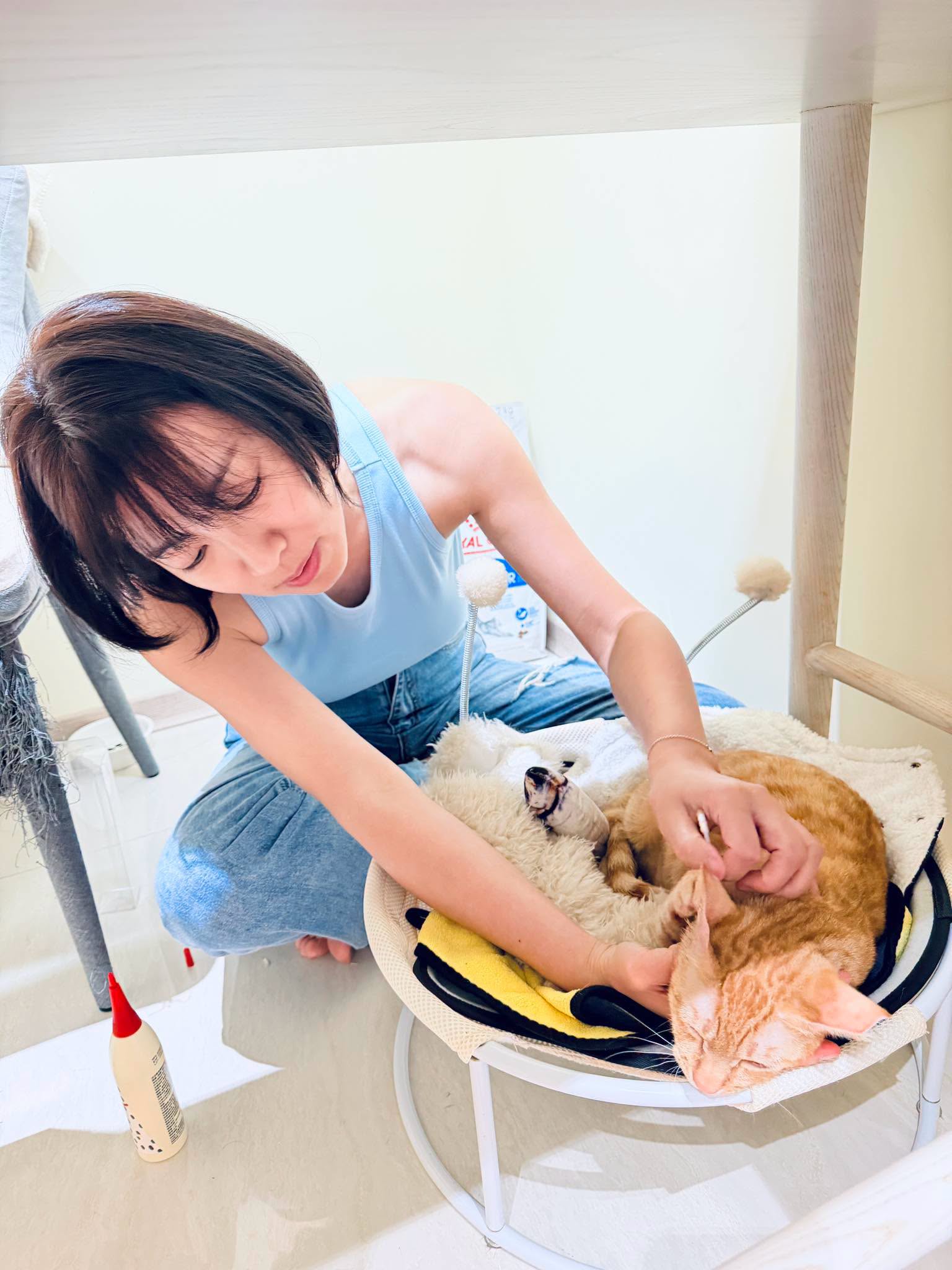 不惜槓上地方首長！米可白「為受虐犬發聲」公開點名他　遭疑蹭流量「她霸氣揭收入來源」