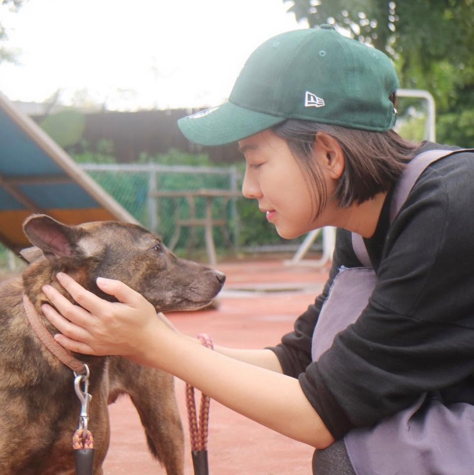 不惜槓上地方首長！米可白「為受虐犬發聲」公開點名他　遭疑蹭流量「她霸氣揭收入來源」