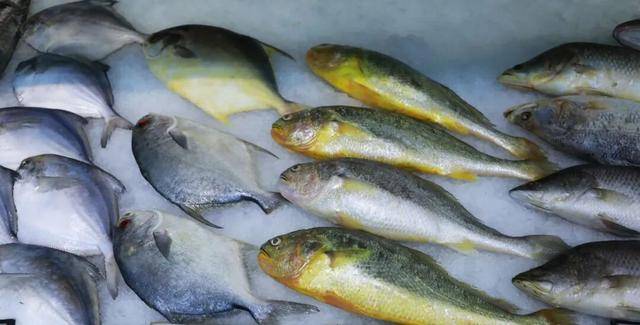 每年6-9月高發!35歲孕婦「碰一食物隱形殺手」身亡 快檢查你家冰箱「幾乎家家戶戶都有」